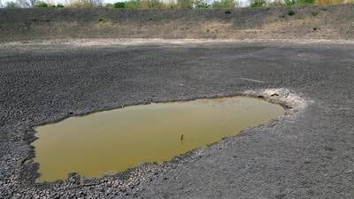 A favor del cafecito y el chocolate: Indígenas de Oaxaca crean sistema para captar agua de lluvia