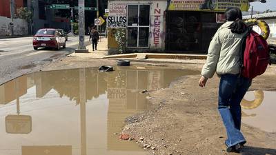 ‘Aguas’ con el dengue: Casos crecen 385 % en México; alerta incrementa en temporada de lluvias