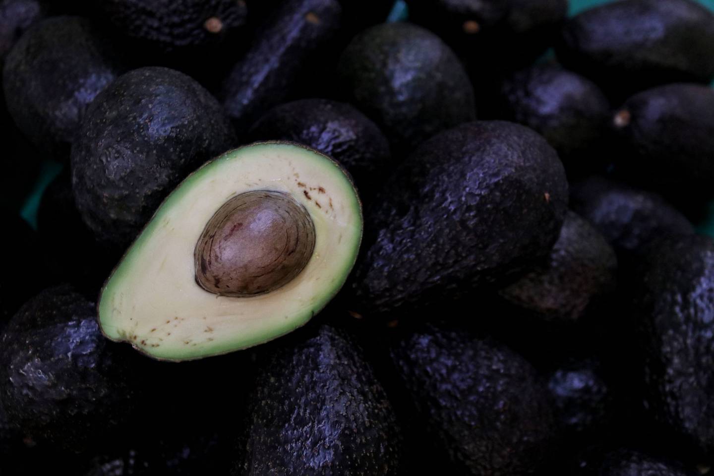 Estados Unidos detuvo por unas horas la importación de aguacate