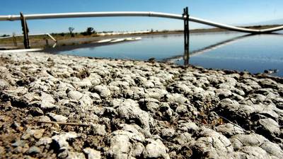 Clausuran planta de Granjas Carroll, acusada de contaminar el agua en Perote, Veracruz