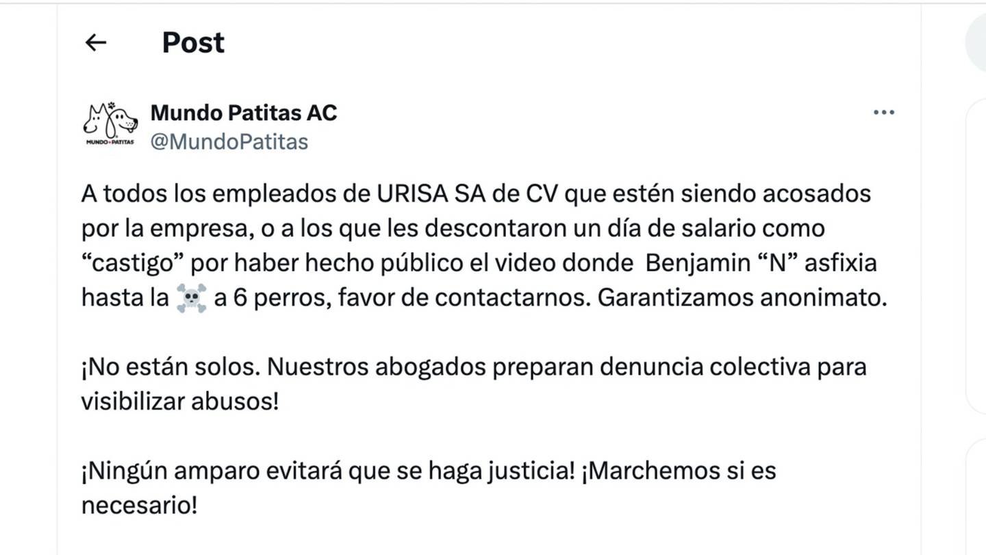 El pasado 3 de julio se dio a conocer un video en el que se observa a Benjamin N ahorcar a seis perritos que vivían en una planta de aguas residuales (Foto: Captura de pantalla: X| @MundoPatitas)