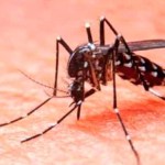 Hay presencia de dengue en estados donde no había: UNAM