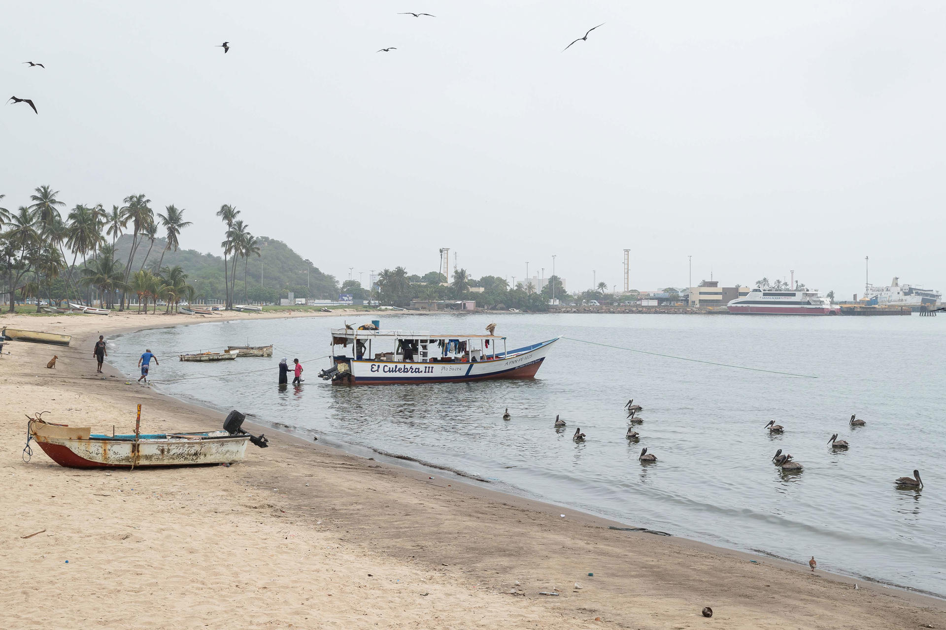 Venezuela hace una “limpieza submarina” en 450 playas