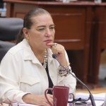 INE aún no recibe suspensión contra elección del PJ; Taddei adelanta análisis jurídico