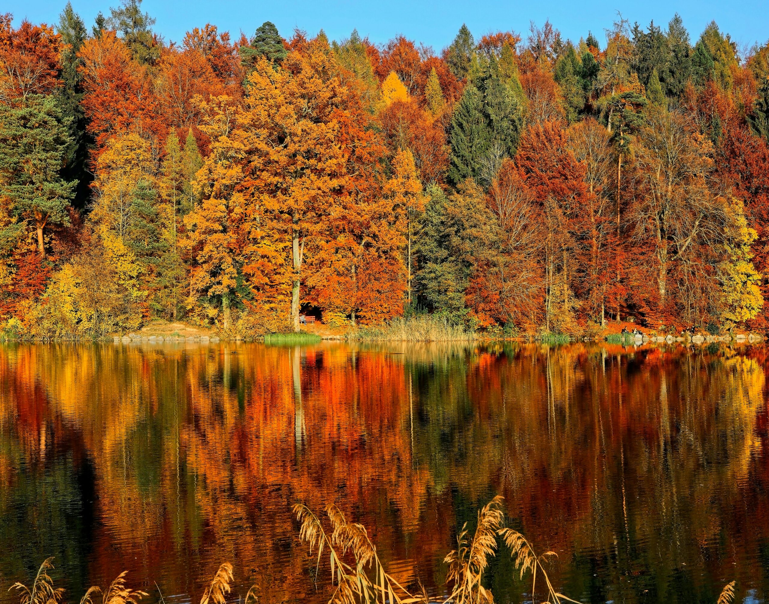 Ya empezó el otoño