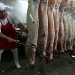 Carniceros y tablajeros de Tapachula denuncian el ingreso ilegal de carne y ganado a México