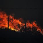 Estudio revela que incendios forestales han disparado un 60% las emisiones mundiales de CO2 en dos décadas