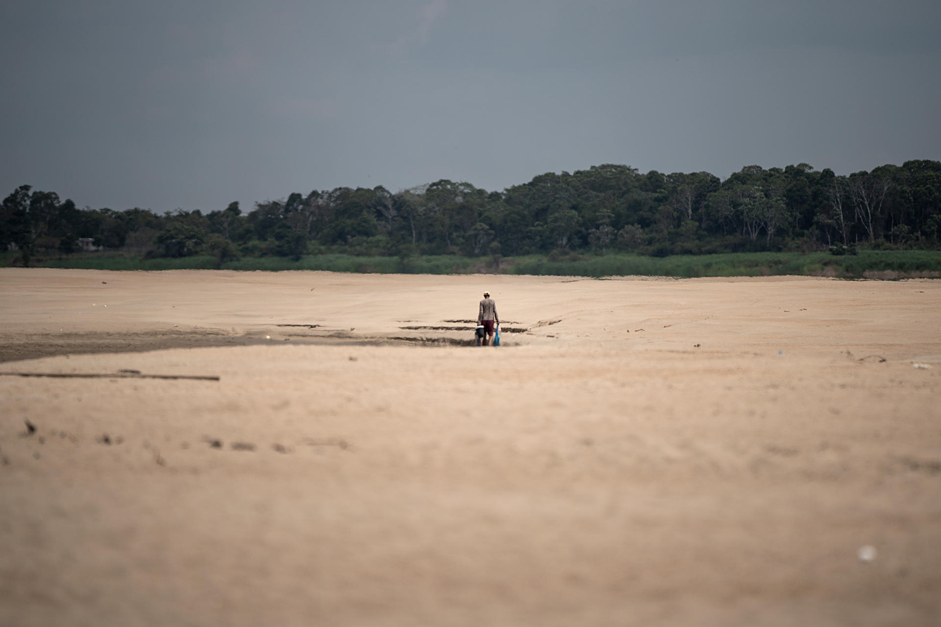 Principales ríos de la Amazonía brasileña están en sus mínimos históricos