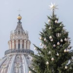 Recogen firmas para evitar talar el árbol de Navidad destinado a la Plaza de San Pedro