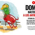 Gaceta UNAM: Doman bacterias a los antibióticos