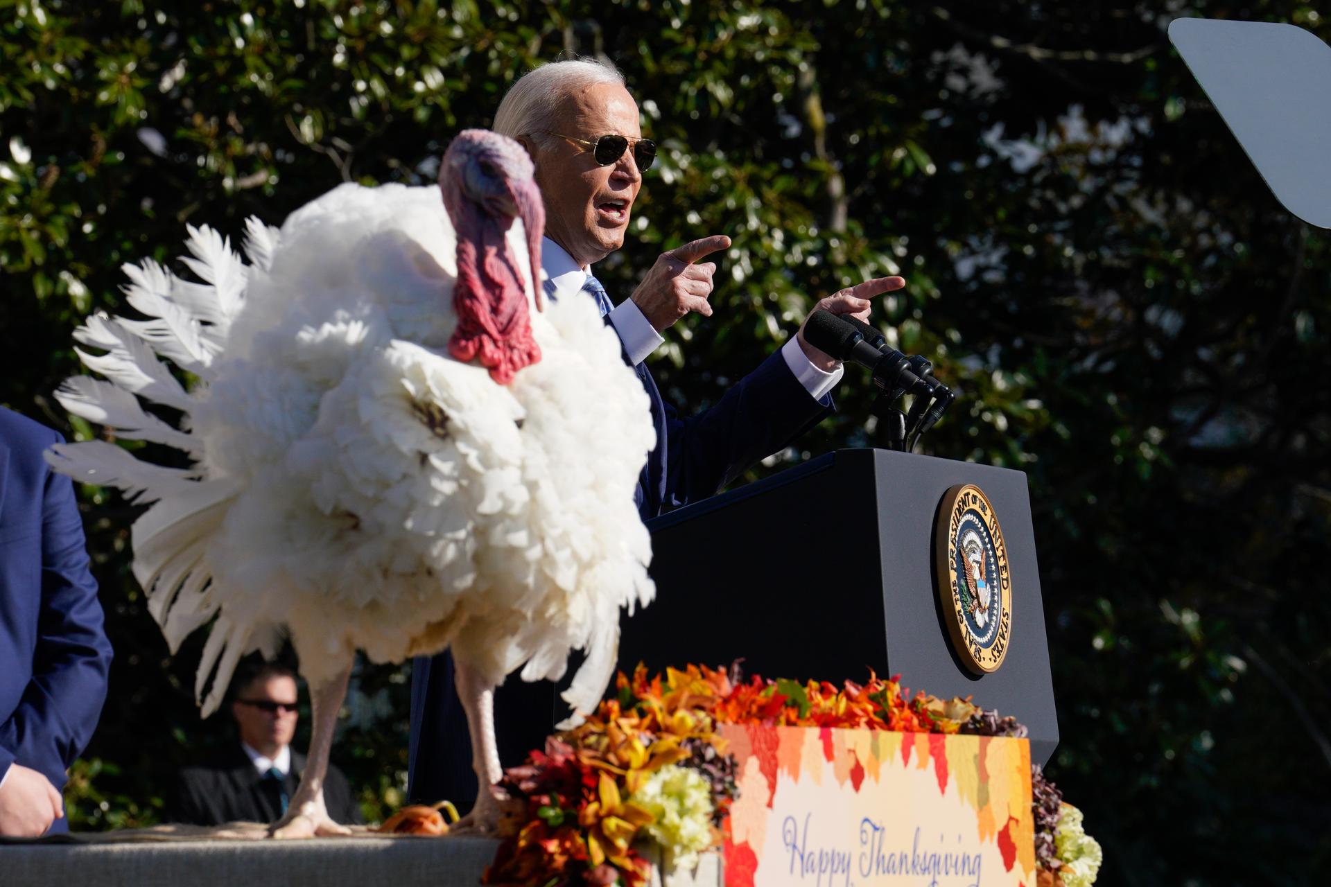 Biden indulta a sus últimos pavos, Peach y Blossom, que simbolizan la “resistencia”