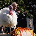 Biden indulta a sus últimos pavos, Peach y Blossom, que simbolizan la “resistencia”