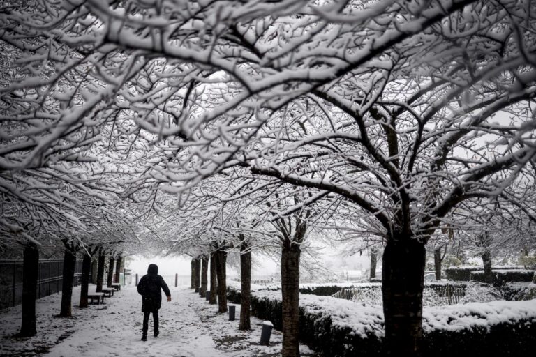 nieve-y-hielo-provocan-problemas-de-transporte-en-francia-2