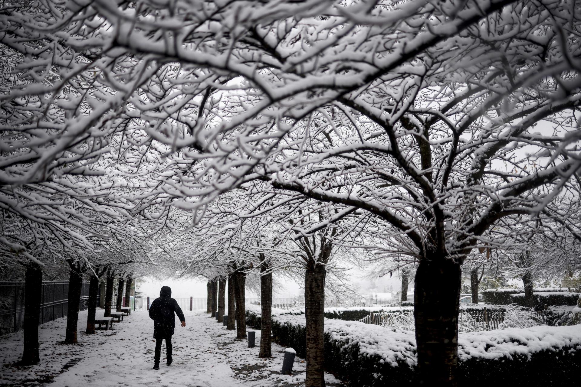 Nieve y hielo provocan problemas de transporte en Francia