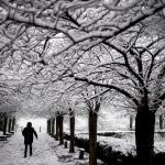 Nieve y hielo provocan problemas de transporte en Francia