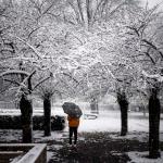 Nieve, frío polar y fuertes vientos ponen en alerta a Europa