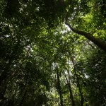 EE.UU. apoyará a México para proteger y conservar la Selva Maya