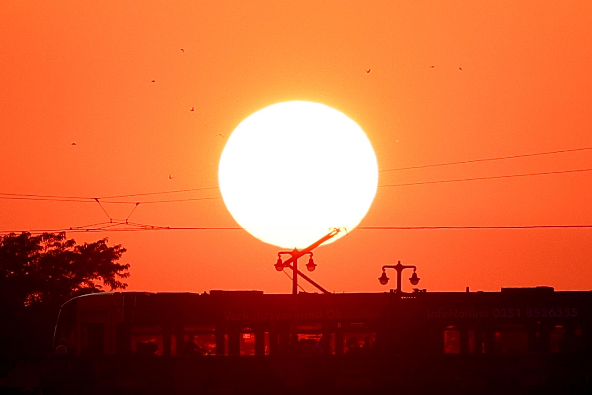 Temperatura del planeta superó en 1.54º el nivel de referencia en primeros 9 meses del año