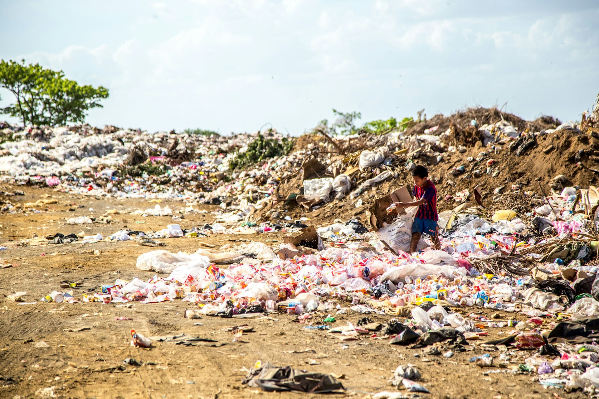 Próxima pandemia surgiría de los vertederos de basura de países en desarrollo, según estudio