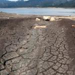 El mundo necesita mil mdd diarios para combatir desertificación y sequía hasta 2030