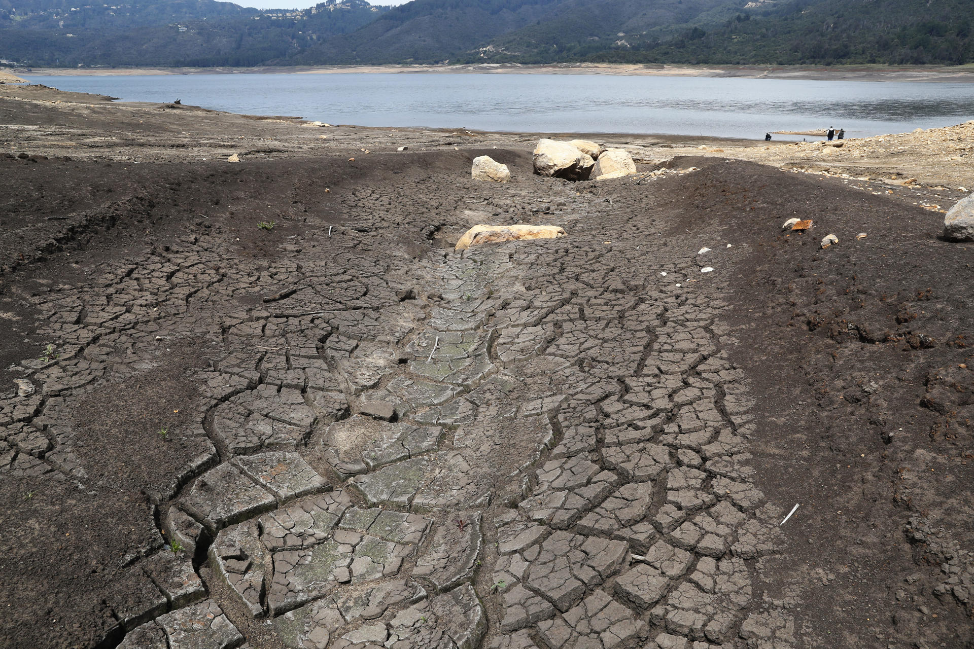 El mundo necesita mil mdd diarios para combatir desertificación y sequía hasta 2030