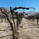 Cambio climatico agravará las sequías, que serán más largas e intensas