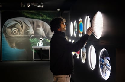 Un visitante en la exposición de Cosmocaixa de Barcelona 'Extraterrestes ¿hay vida fuera de la Tierra?'.