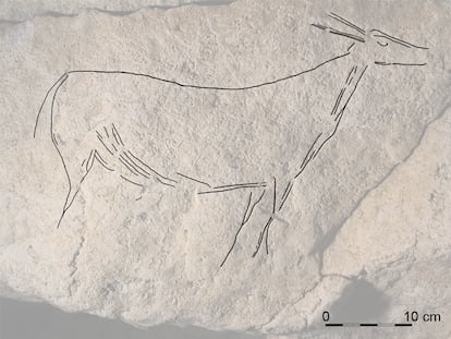 Uno de los nuevos grabados encontrados en la cueva de Altamira, que representa a una cierva.