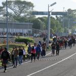 ONG ve aumento de incertidumbre y caravanas en México tras medidas migratorias de EE.UU.