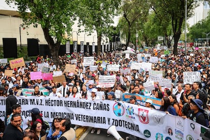 Este martes, médicos veterinarios, asociaciones civiles y estudiantes de veterinaria marcharon en el centro de Ciudad de México para exigir justicia por el asesinato.