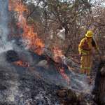 Conafor advierte condiciones adversas que favorecerán incendios; alista 14 mil combatientes