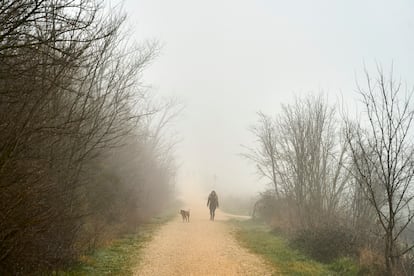 Una mujer camina con su perro por el anillo verde de Vitoria, envuelto en niebla el domingo pasado.