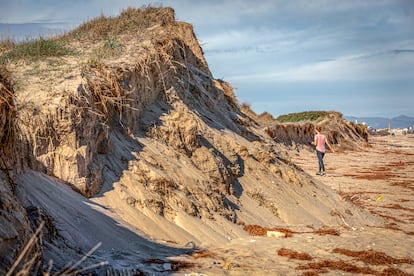 Estado en el que quedó una de las playas de El Saler tras el paso de la borrasca Gloria en enero de 2020.