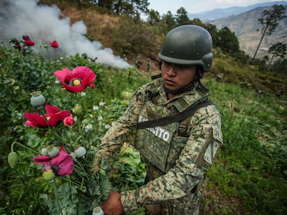 A soldier during an operation to destroy poppy crops, in San Miguel Totolalpan, February 14.