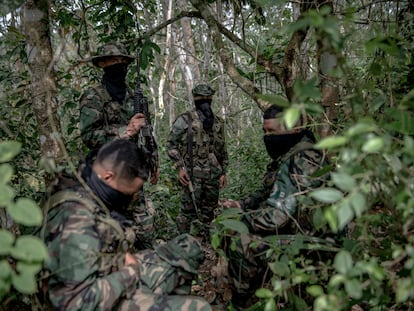 Alianza entre el ELN y el Estado Mayor Central para detener al Clan del Golfo