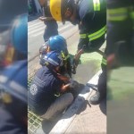 #Video Rescatan a perro que cayó a río en Querétaro