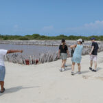 Peligran manglares y salinera prehispánica en Yucatán por plan de agua potable