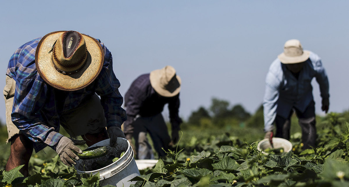 Trump anuncia aranceles a las importaciones agrícolas desde el 2 de abril