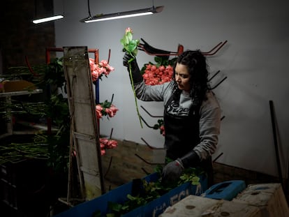 Una trabajadora de un invernadero de flores en Chía, Colombia, el 29 de enero