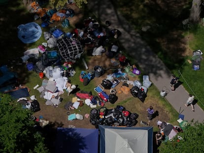 Estudiantes del campus de Harvard