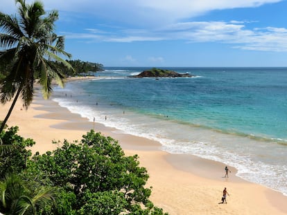 kifehvjqeja7pgxpzzvv546pyy-1 Playa de Mirissa en Sri Lanka.