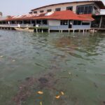 Derrame de hidrocarburo en Tabasco mata peces y cierra playas; acusan a Pemex Derrame de hidrocarburo en Tabasco mata peces y cierra playas; acusan a Pemex