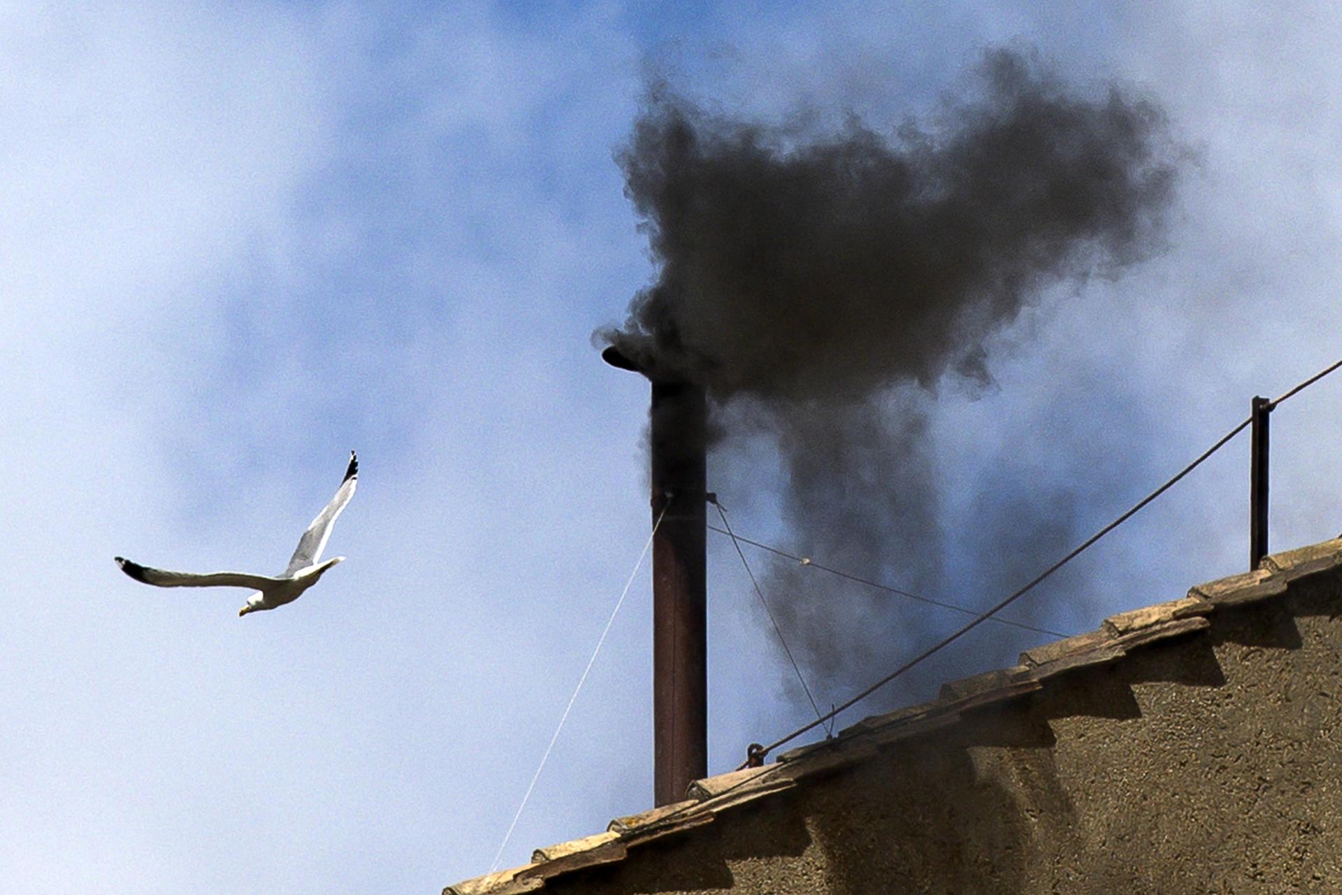 gaviota-sobrevuela-la-capilla-sixtina-mientras-el-conclave-expide-una-fumata-negra Las gaviotas, la otra imagen del cónclave que molesta en Roma - gaviota-sobrevuela-la-capilla-sixtina-mientras-el-conclave-expide-una-fumata-negra