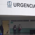 México reporta segundo caso humano de miasis por gusano barrenador México reporta segundo caso humano de miasis por gusano barrenador