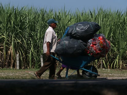 raz7ypmoanhsjapmzlryvf46qm Trabajo en México