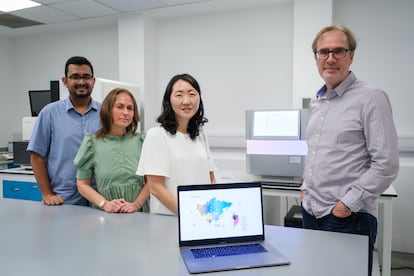 xkmodmjnubembhunfgxz6kxqp4 De izquierda a derecha, Amit Gourav, Elena Gusareva, Kim Hie Lim, y Stephan Schuster, investigadores del consorcio Genoma Asia 100K.