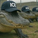 Protestan en EE.UU. contra cárcel migratoria ‘Alligator Alcatraz’