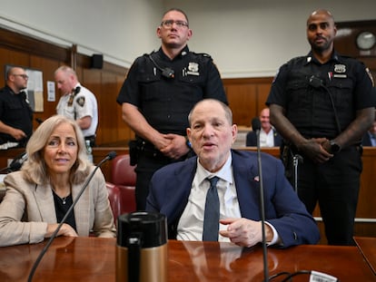 dly3gzveamvkxne46l3ihiefj4 Harvey Weinstein