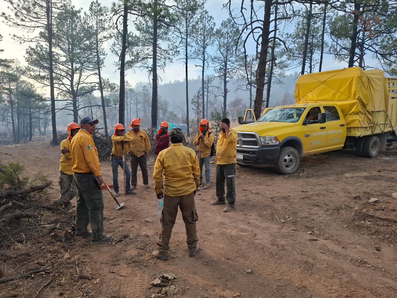 incendios20forestales2028429-1