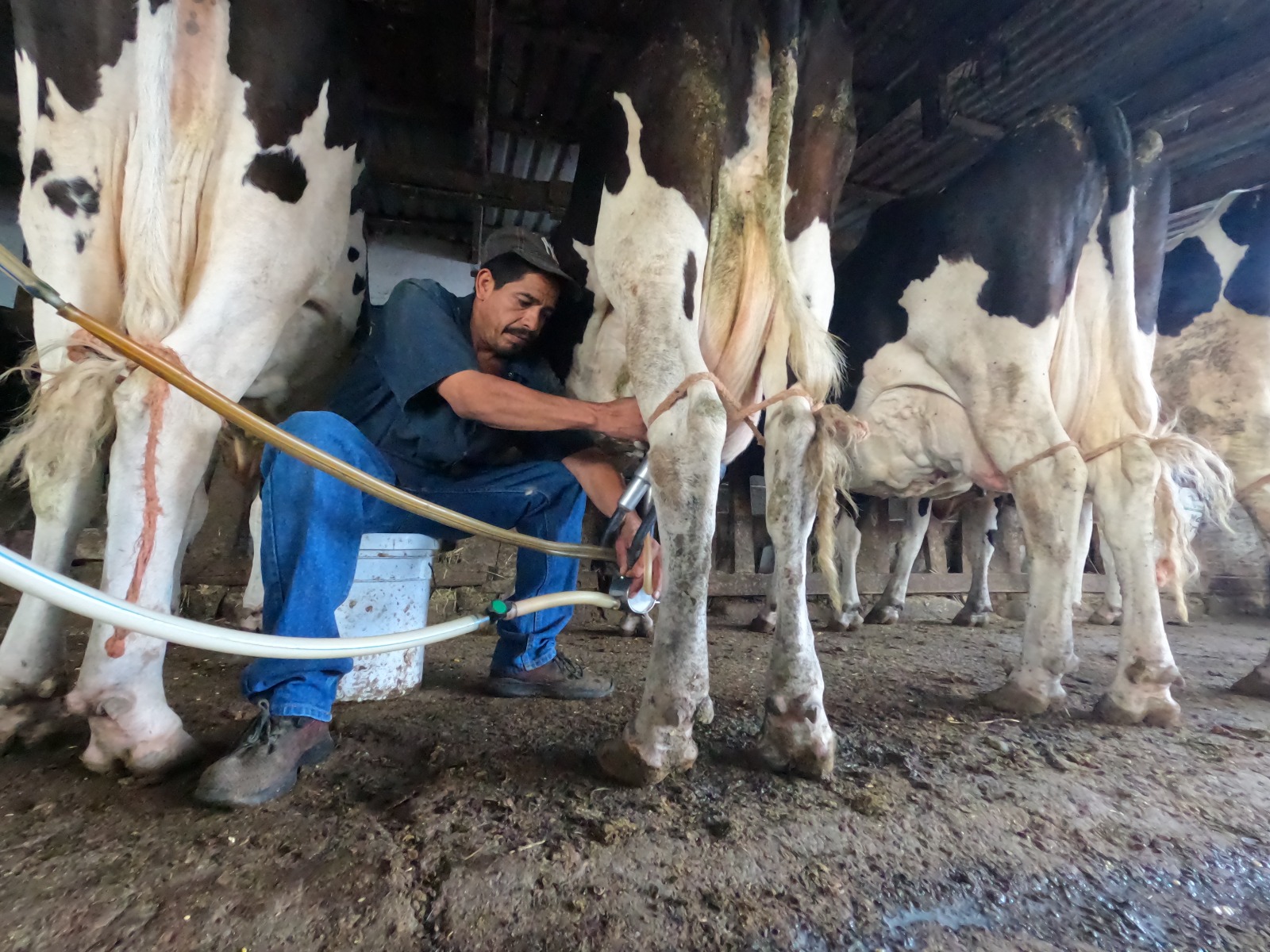 productores2028429-1